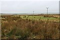 Rough grazing at Upper Haster