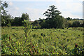 Wet field by River Glaven