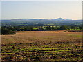 Farmland at Blackbrow Farm