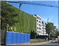 Green wall, De Montfort Way