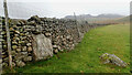 Orthostat in dry stone wall