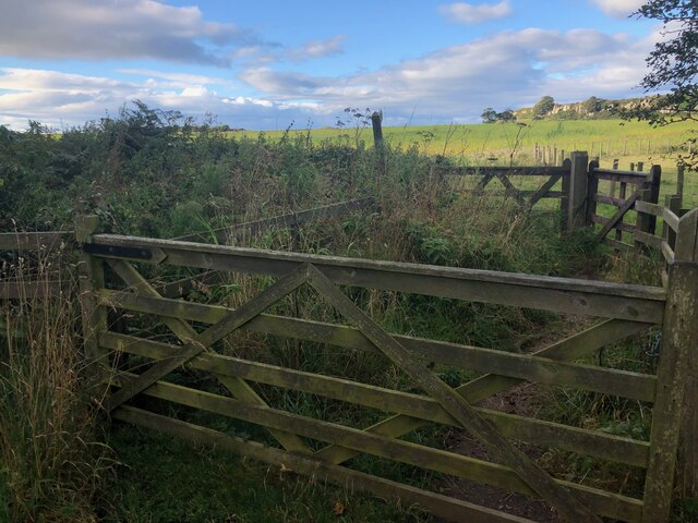 Gates on footpath near Hips Heugh