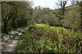 SX8154 : Valley below Gitcombe Plantation by Derek Harper