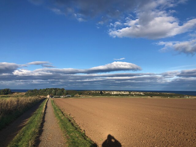 View down track leading to Howbrook Lodge Farm