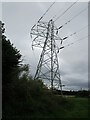 Electricity pylon near Kensford