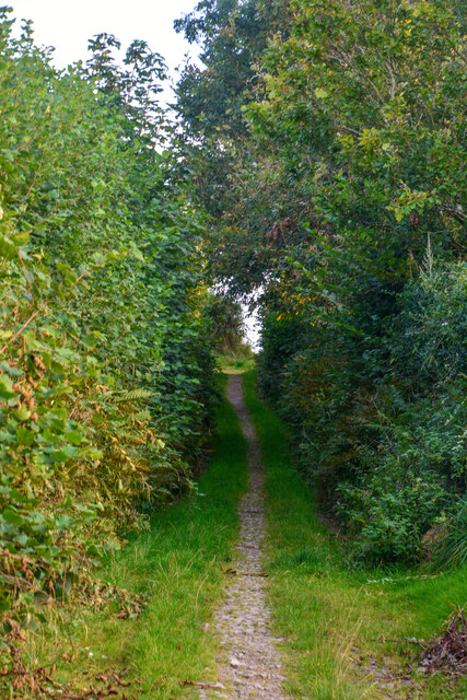 Halsinger : Burland Lane © Lewis Clarke :: Geograph Britain and Ireland