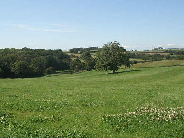 Farmland by the north east corner of Coed Cwintin