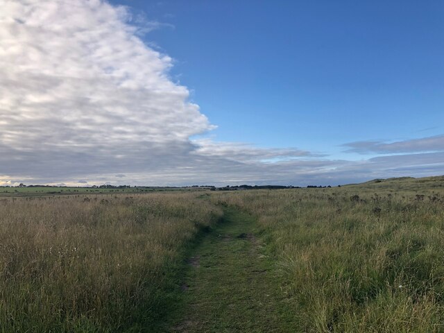 Northumberland Coast path, Newton Links