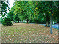 Trees around the churchyard, Thorpe on the Hill