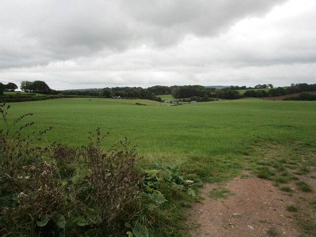 Grass field near Burlescombe