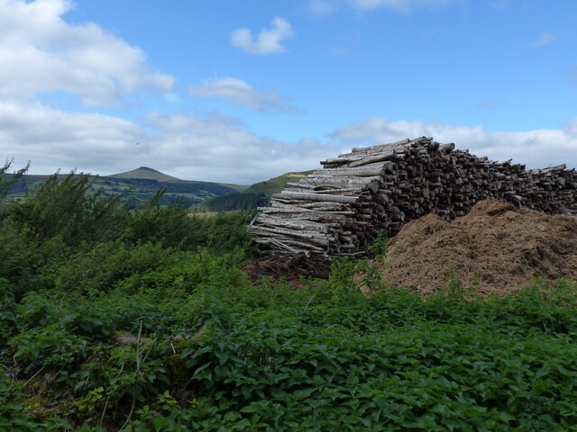 Wood pile next to the road, with the Sugarloaf in the far distance