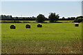 Bales in a field