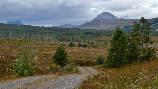 Forest Track above Loch Craggie, Ross-shire
