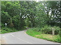 SZ3294 : Maiden Lane, near Lymington by Malc McDonald