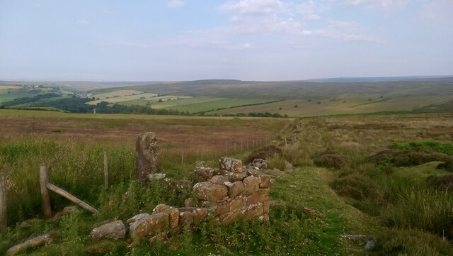 Ruined sheep fold at Warren Moor