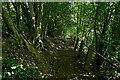 Severn Way south-east of Upper Arley, Worcestershire