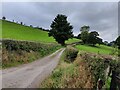 Lane to Coates Farm