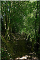 Severn Way south-east of Upper Arley, Worcestershire