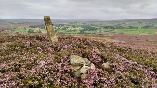 Standing stone above Westerdale
