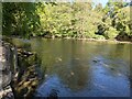 Confluence of the River Clywedog and Severn (Llanidloes)