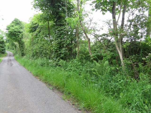 Minor Road near Gathercauld