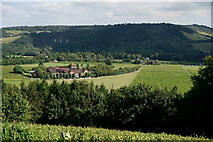TQ1550 : View From Denbies Vineyard by Peter Trimming