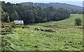 View from a field gate in Mynydd-bach, Monmouthshire