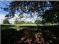 Grass field at Lower Tadmarton