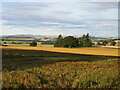 Field north of Monkshill