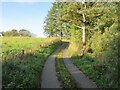 Country lane near Lethenty