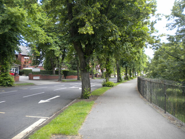 Town Moor Avenue, Doncaster