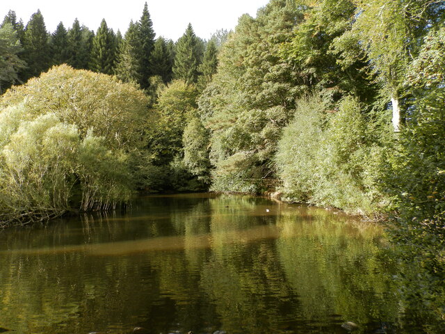 Pond at entrance to Dunain Community Woods