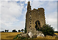 R9581 : Castles of Munster: Cappa, Tipperary  (2) by Mike Searle