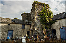 S1556 : Castles of Munster: Archerstown, Tipperary  (1) by Mike Searle