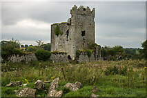 S0340 : Castles of Munster: Ballynahinch, Tipperary  (2) by Mike Searle