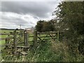 Path To Black Hurworth