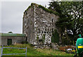 S0537 : Castles of Munster: Shanballyduff, Tipperary  (1) by Mike Searle