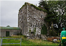 S0537 : Castles of Munster: Shanballyduff, Tipperary  (1) by Mike Searle
