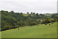 View from near Tan-y-Fron