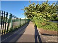 New River Path, Hornsey