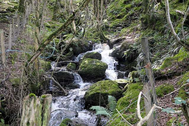 Nant y Gwyddyl flowing down to Afon Leri