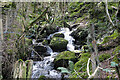 Nant y Gwyddyl flowing down to Afon Leri