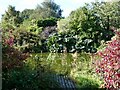 Pond in Longframlington Gardens