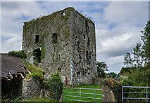 R4569 : Castles of Munster: Rossroe, Clare  (1) by Mike Searle
