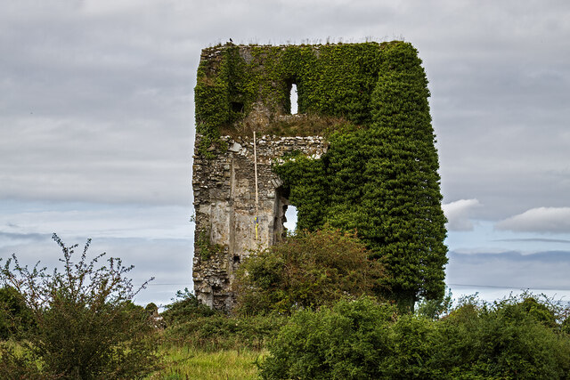 Castles of Munster: Lissofin, Clare  (3)