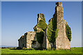 S2688 : Castles of Leinster: Derrin, Laois (2) by Mike Searle