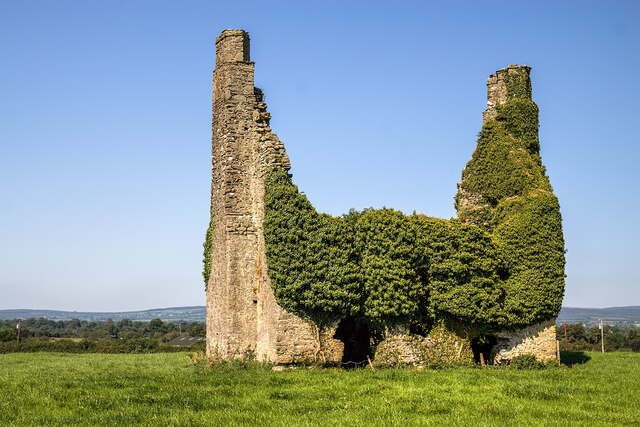 Castles of Leinster: Derrin, Laois (3)