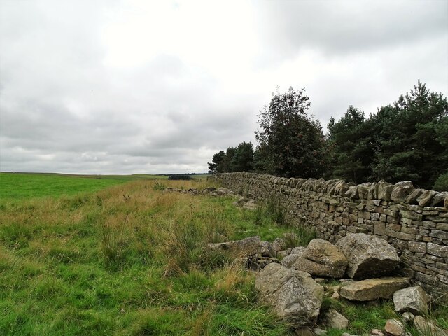 Stone wall beside the Waskerley Way