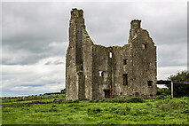 S2685 : Castles of Leinster: Grange More, Laois  (2) by Mike Searle