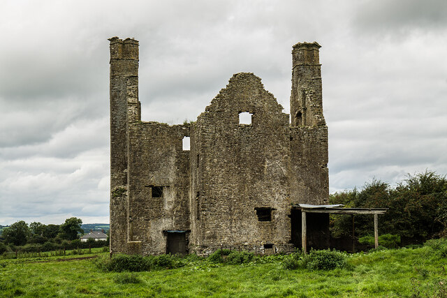Castles of Leinster: Grange More, Laois (4)
